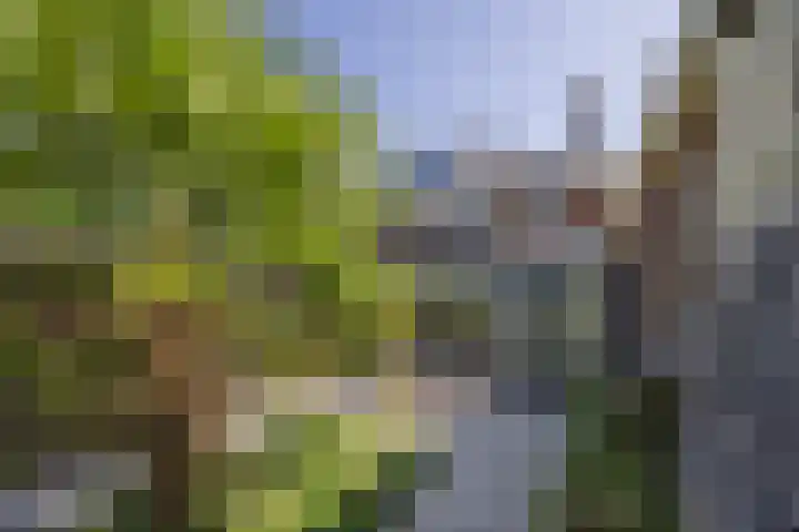 Veurseweg 148 Voorschoten thumbnail 44