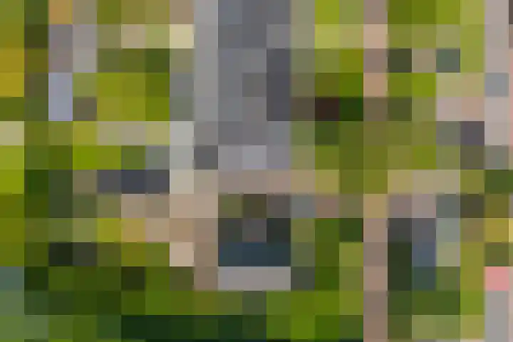 Veurseweg 148 Voorschoten thumbnail 47