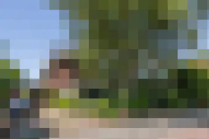 Veurseweg 148 Voorschoten thumbnail 56