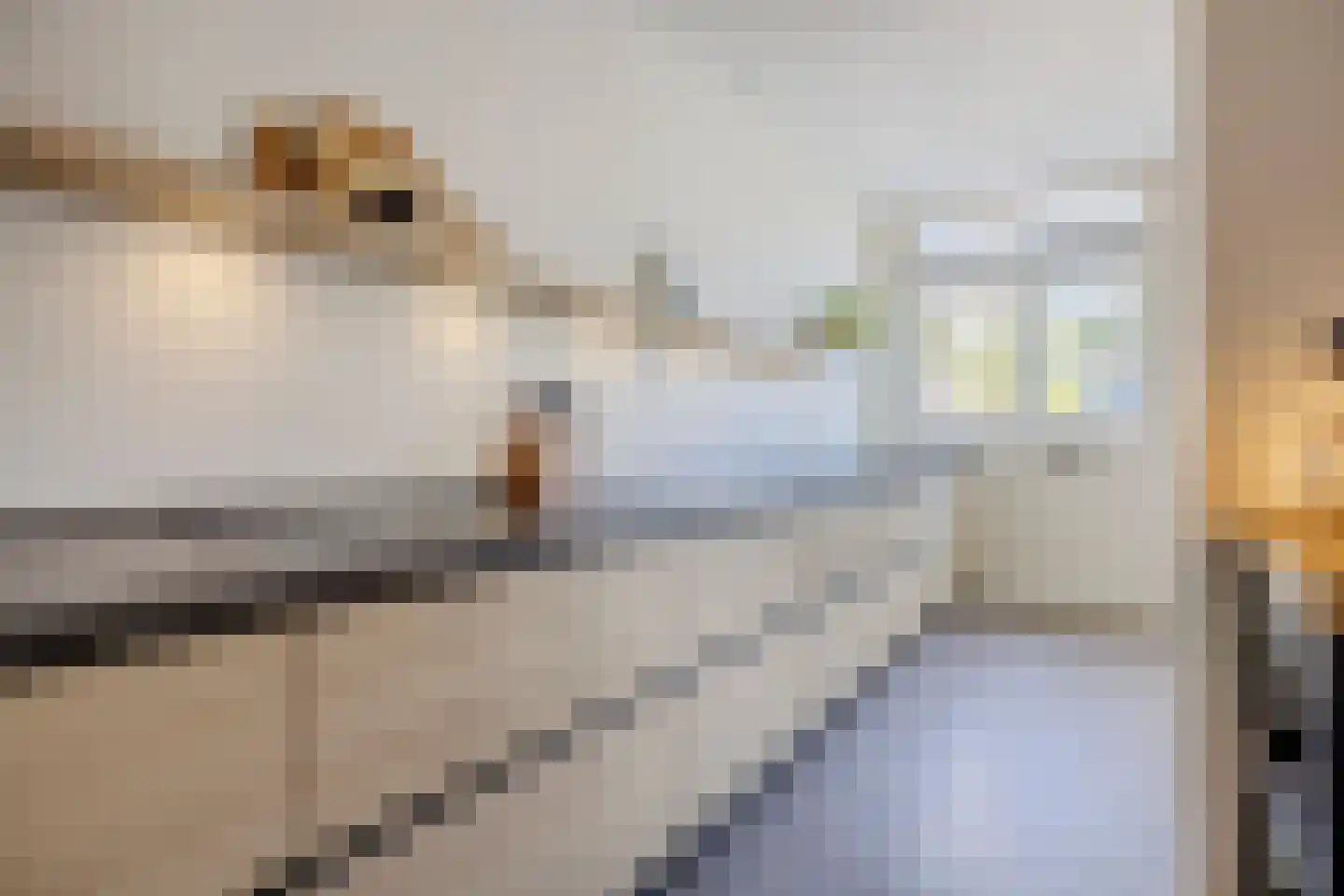 Veurseweg 167 Voorschoten thumbnail 10