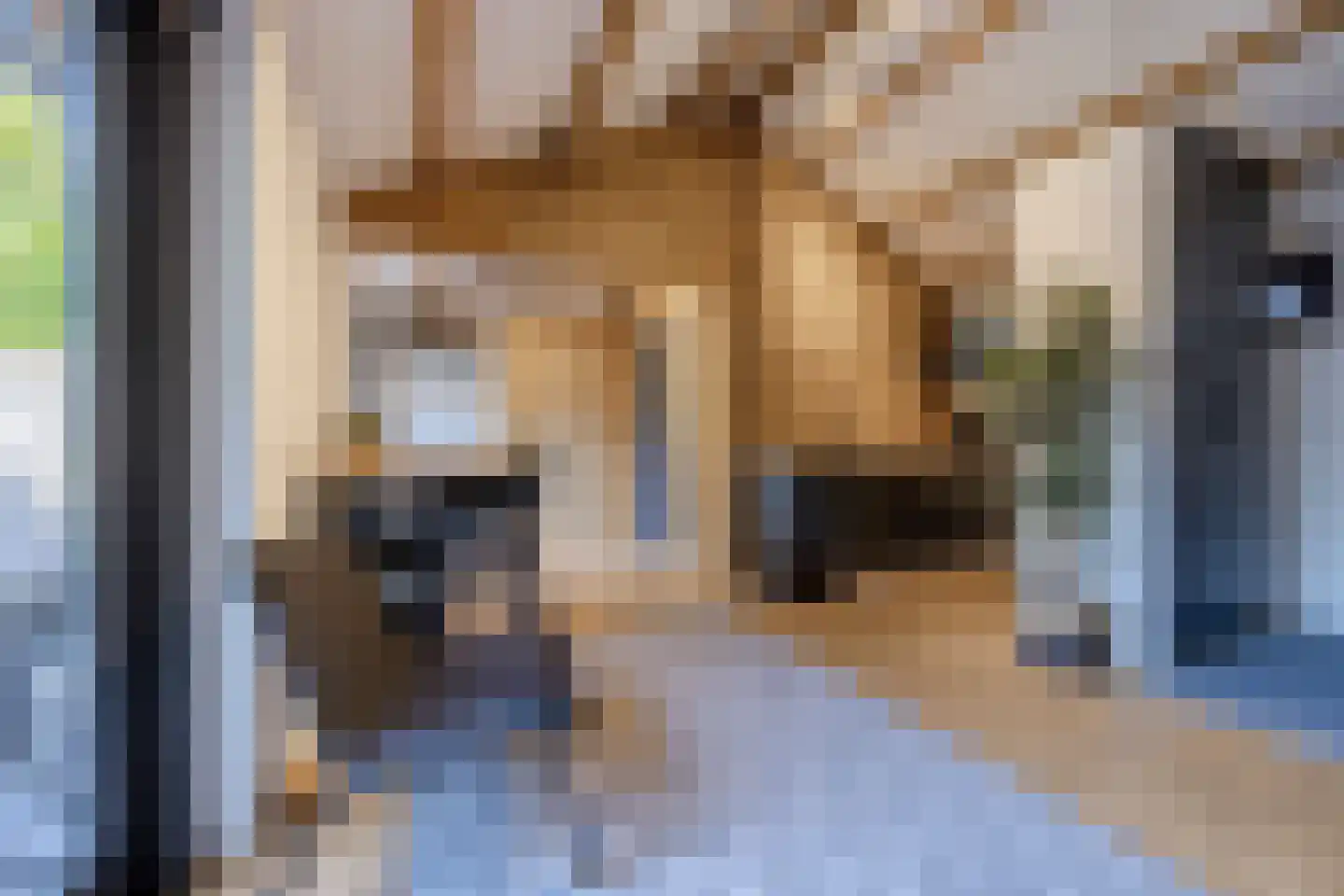 Veurseweg 167 Voorschoten thumbnail 38