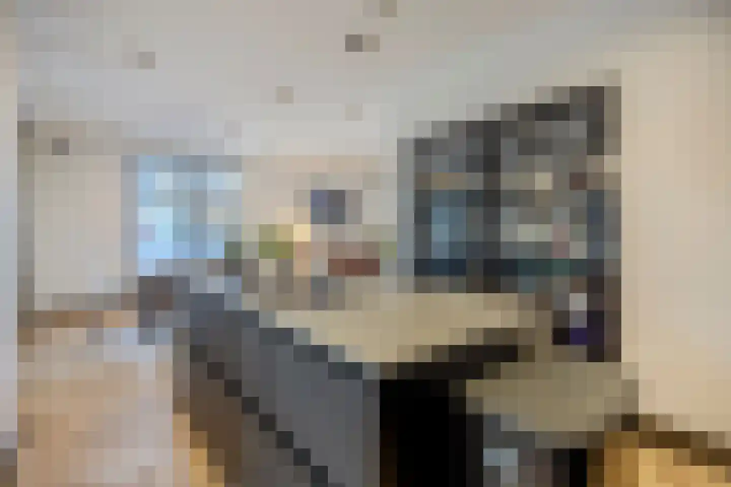 Veurseweg 169 Voorschoten thumbnail 17