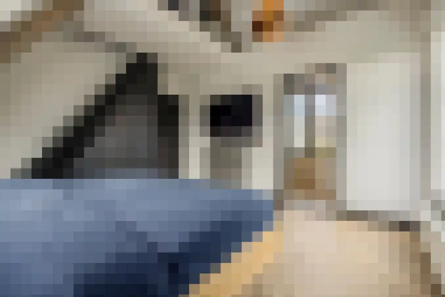 Veurseweg 169 Voorschoten thumbnail 31