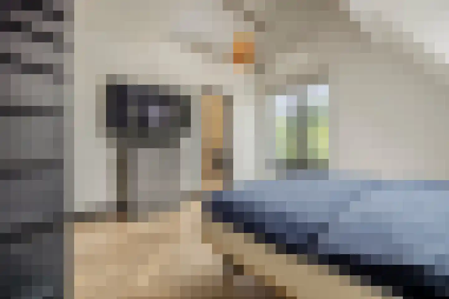Veurseweg 169 Voorschoten thumbnail 32