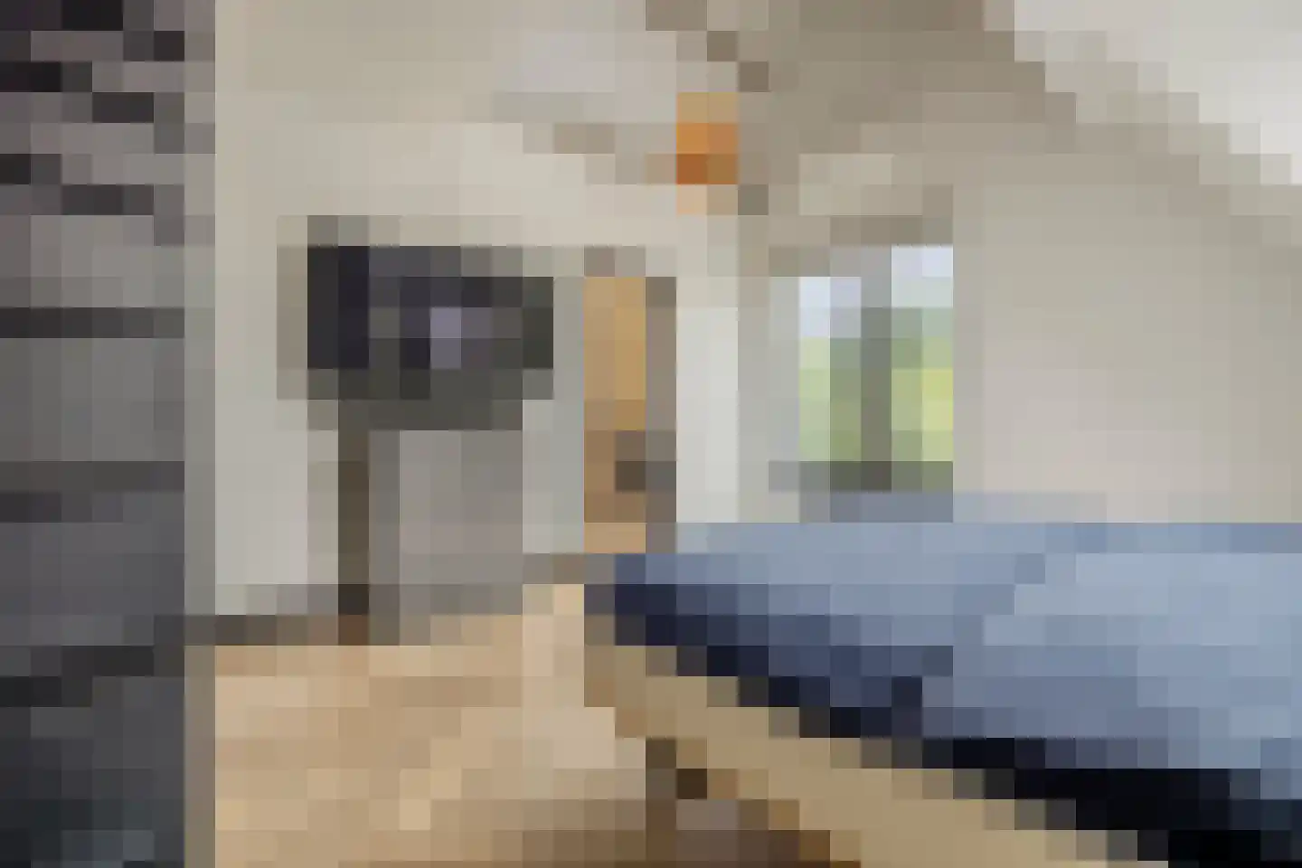 Veurseweg 169 Voorschoten thumbnail 32