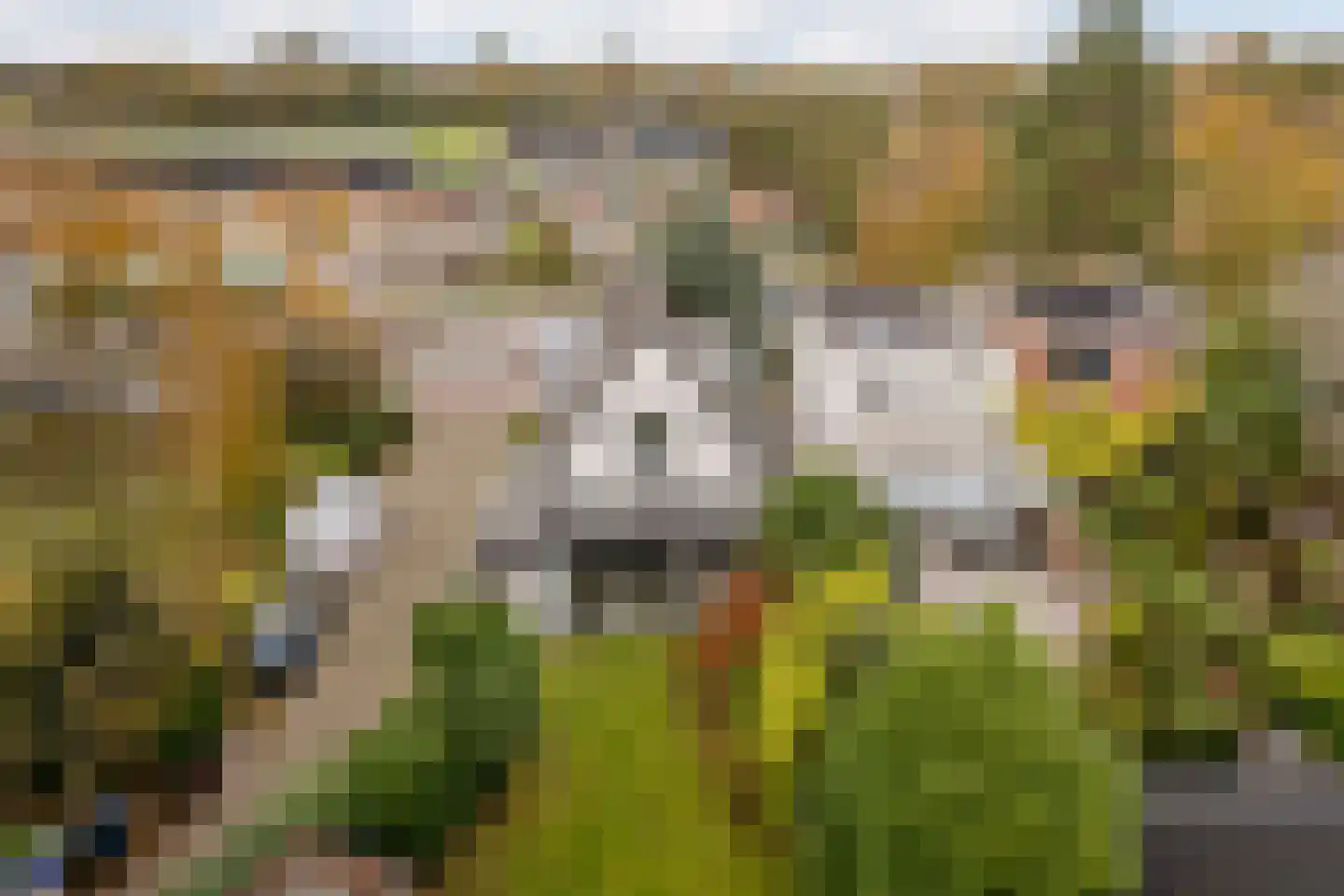 Veurseweg 169 Voorschoten thumbnail 43