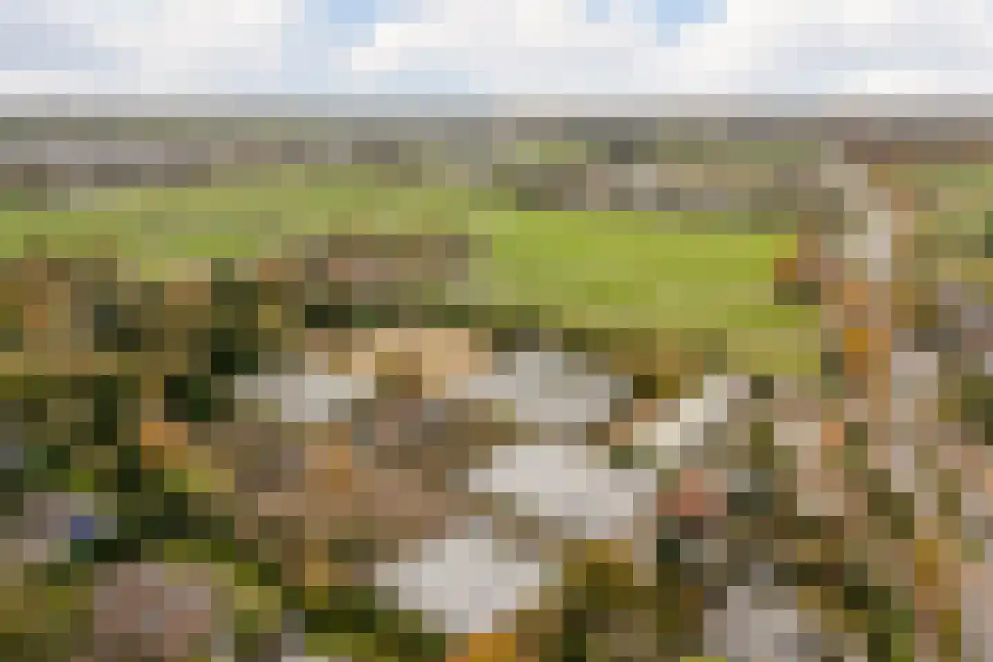 Veurseweg 169 Voorschoten thumbnail 47