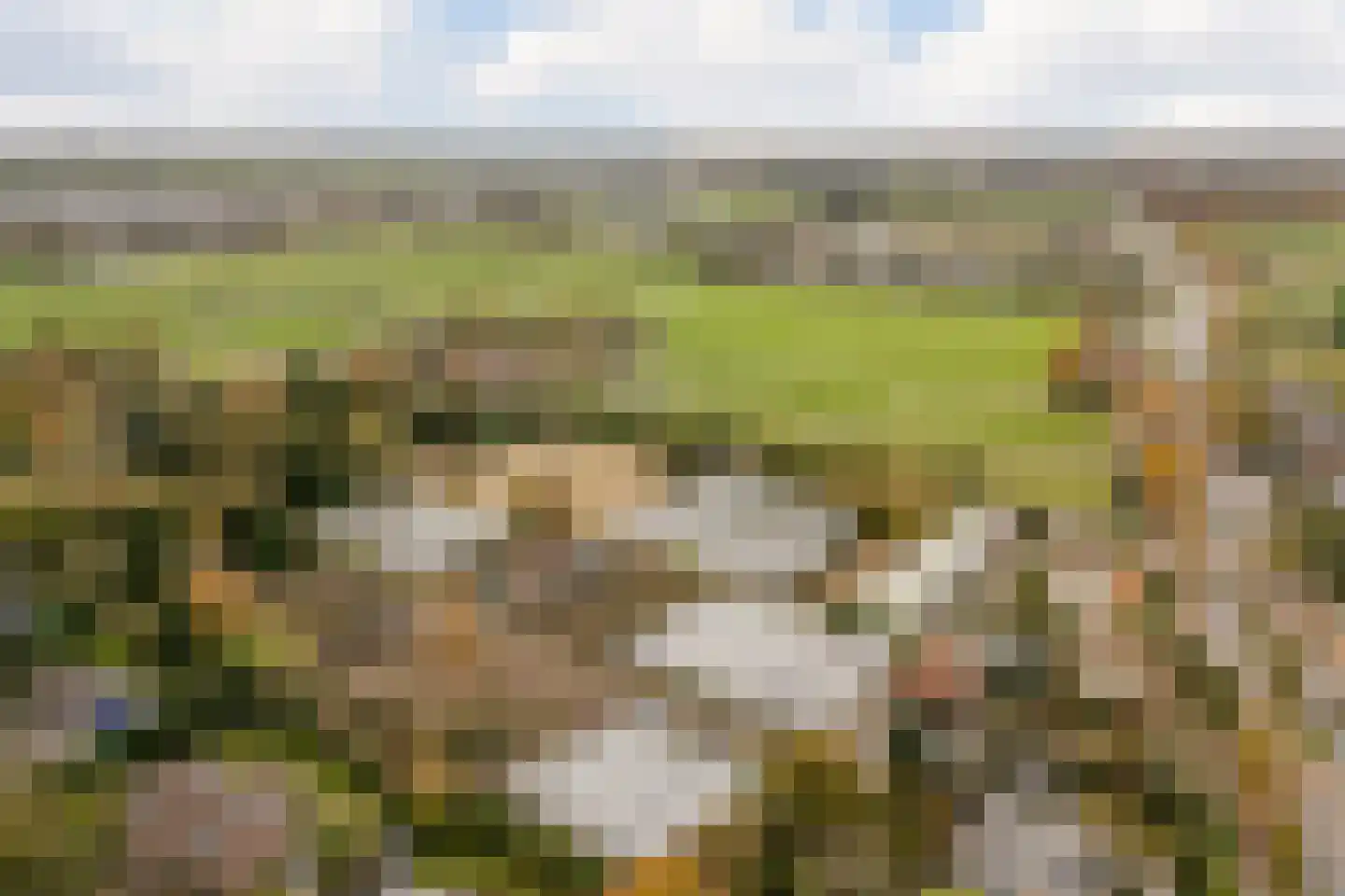 Veurseweg 169 Voorschoten thumbnail 47
