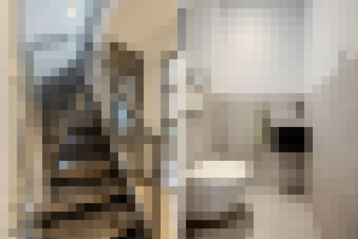 Veurseweg 169 Voorschoten thumbnail 6