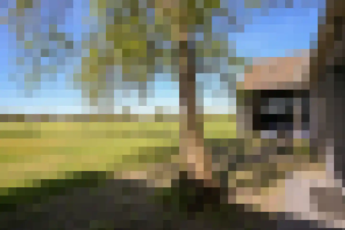 Veurseweg 352 Voorschoten thumbnail 16