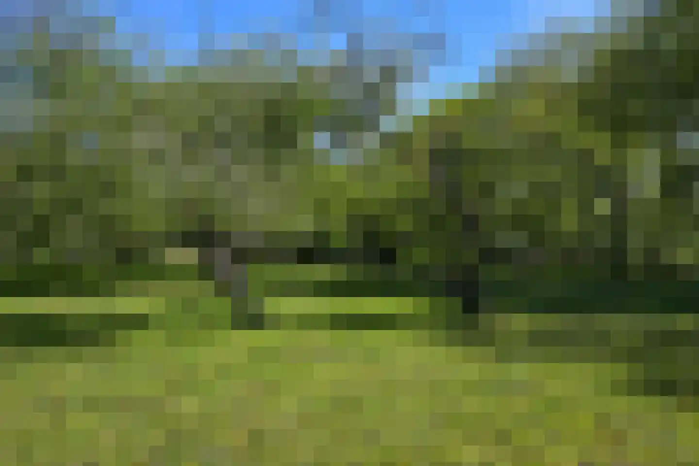 Veurseweg 352 Voorschoten thumbnail 32