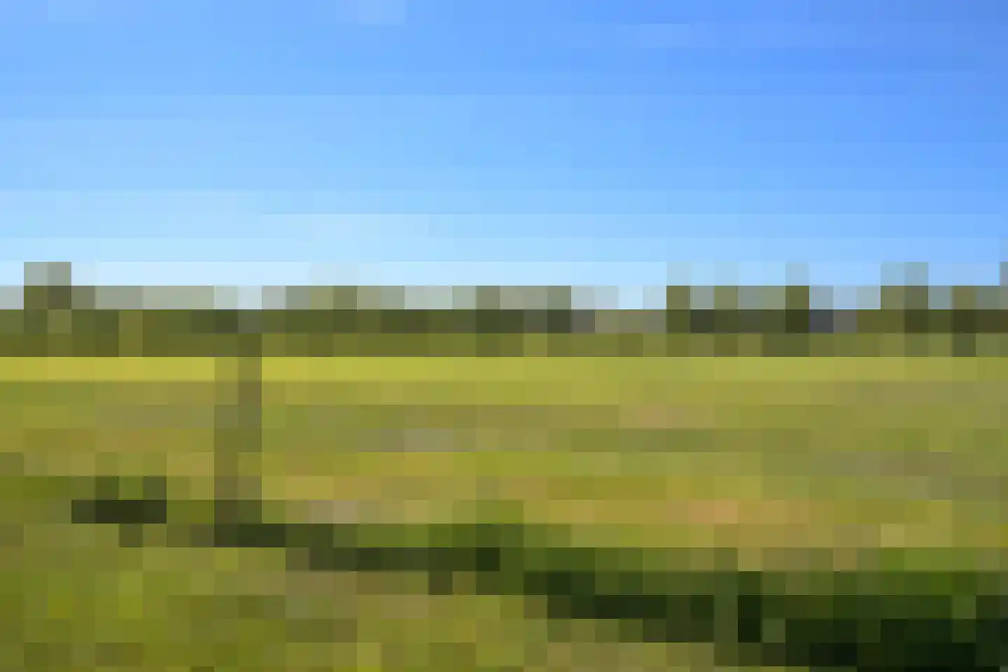 Veurseweg 352 Voorschoten thumbnail 33