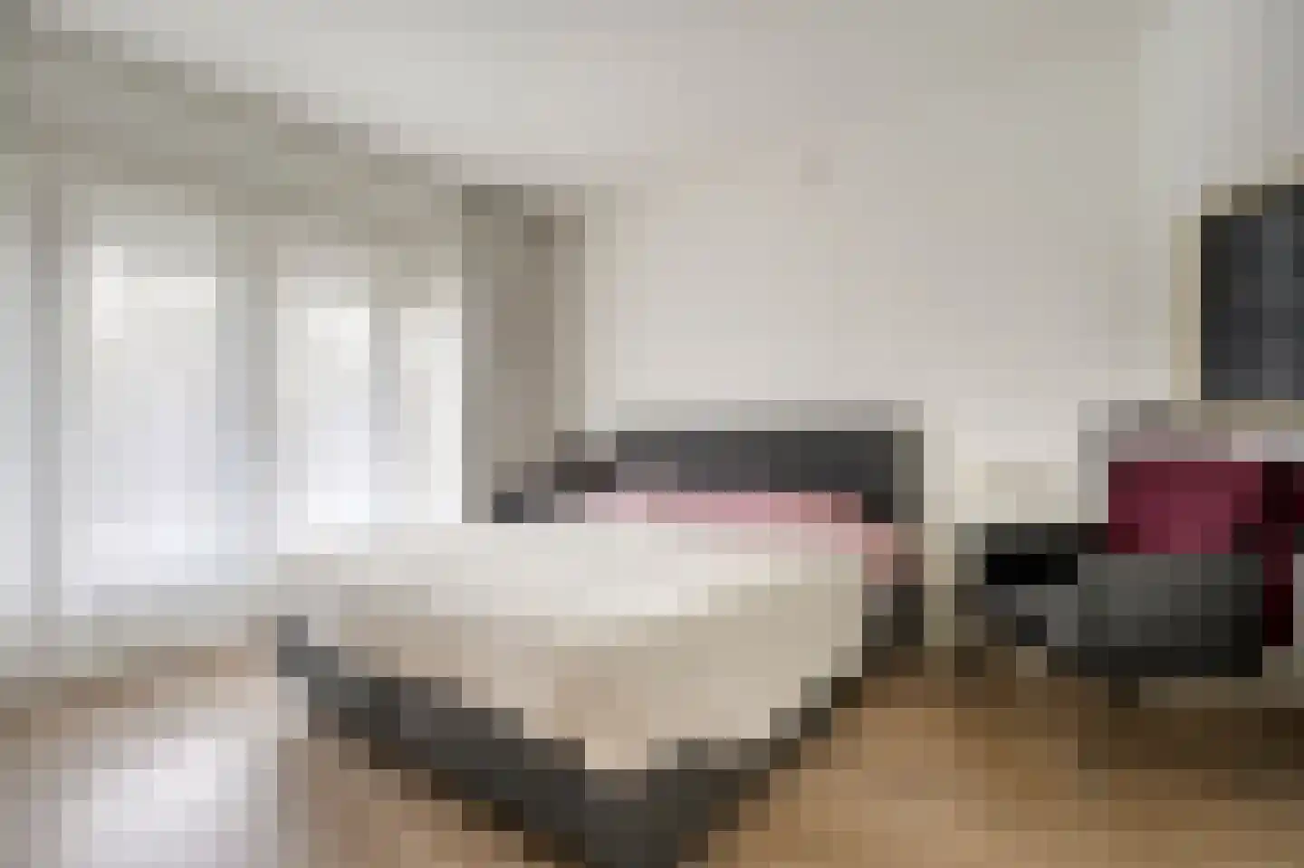 Veurseweg 36 Voorschoten thumbnail 26