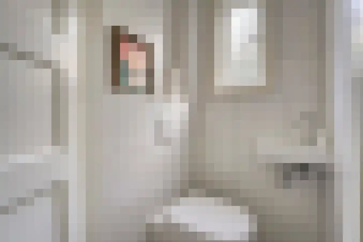Veurseweg 36 Voorschoten thumbnail 5