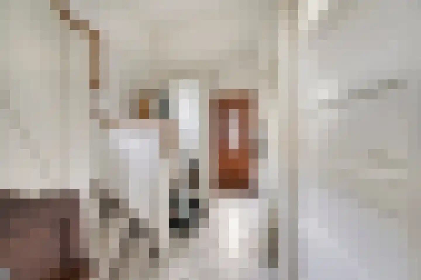 Veurseweg 36 Voorschoten thumbnail 7