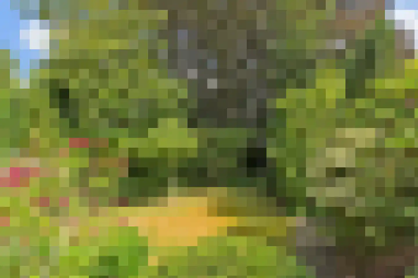 Veurseweg 73 Voorschoten thumbnail 11