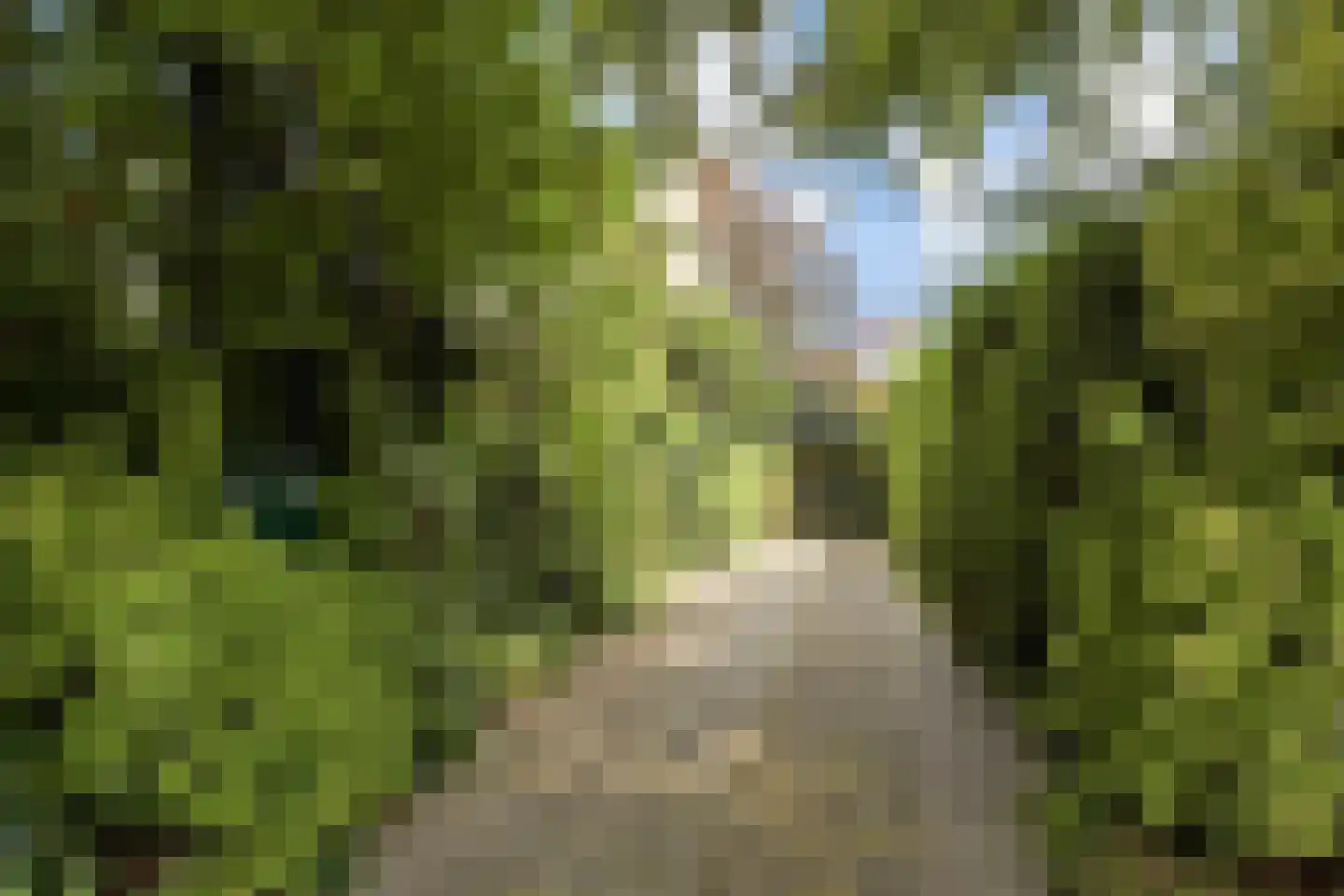 Veurseweg 73 Voorschoten thumbnail 25