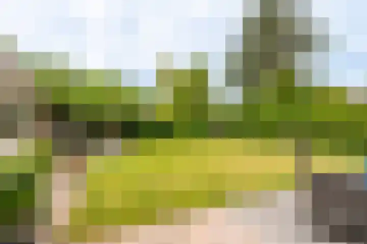 Veurste Rou 1 Blijham thumbnail 10