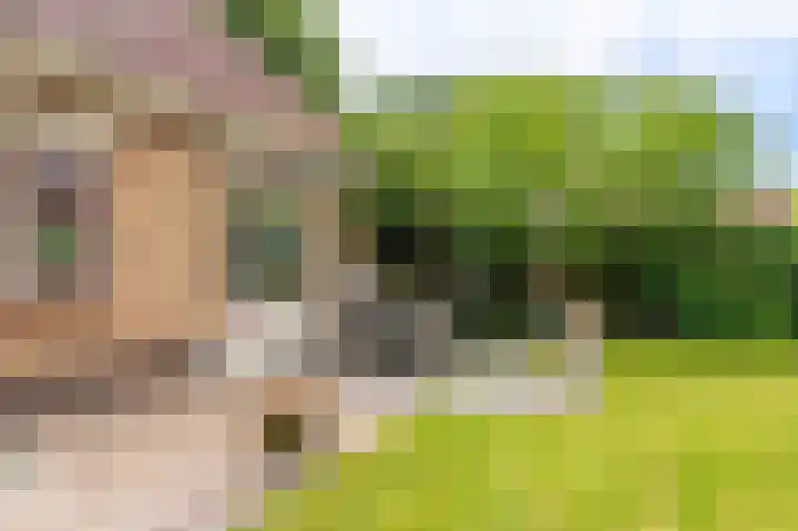 Veurste Rou 1 Blijham thumbnail 11
