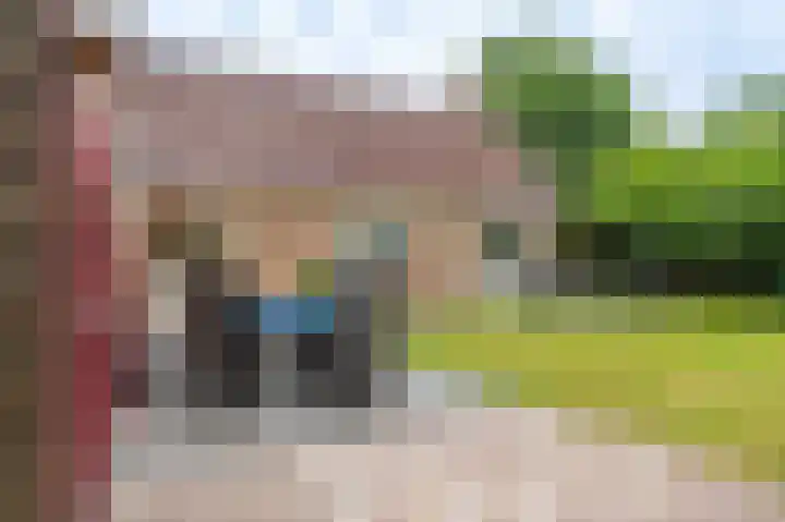 Veurste Rou 1 Blijham thumbnail 12