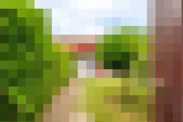 Veurste Rou 1 Blijham thumbnail 13