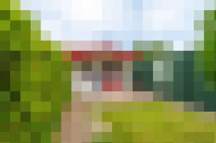 Veurste Rou 1 Blijham thumbnail 14