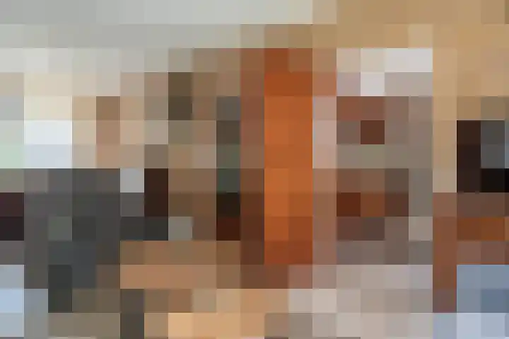 Veurste Rou 1 Blijham thumbnail 19