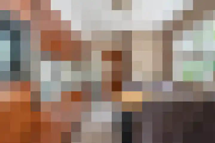 Veurste Rou 1 Blijham thumbnail 23