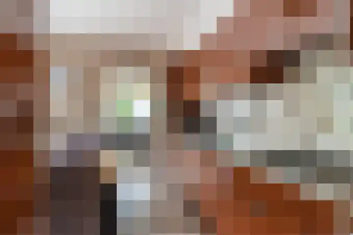Veurste Rou 1 Blijham thumbnail 26