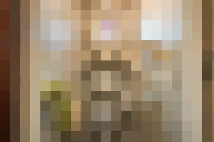 Veurste Rou 1 Blijham thumbnail 33