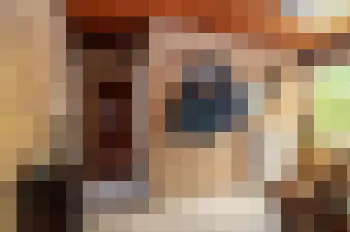 Veurste Rou 1 Blijham thumbnail 34