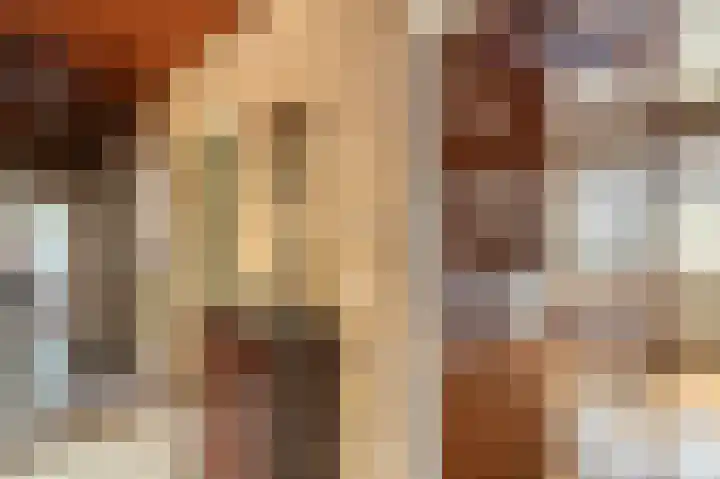 Veurste Rou 1 Blijham thumbnail 35