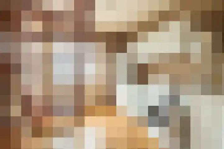 Veurste Rou 1 Blijham thumbnail 36