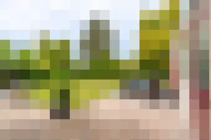 Veurste Rou 1 Blijham thumbnail 4