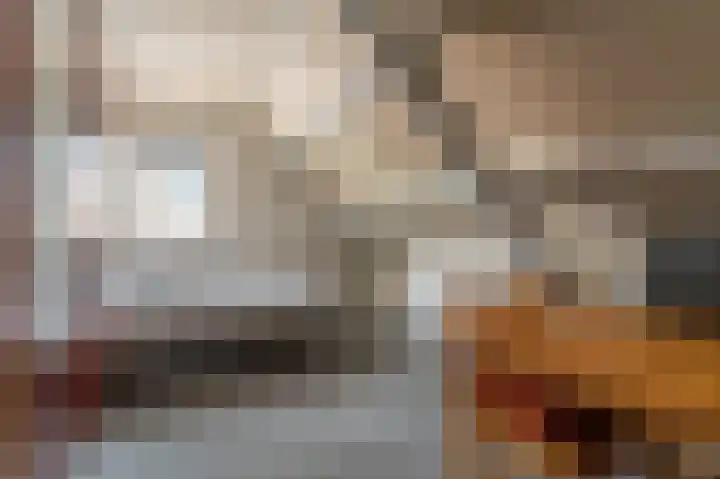 Veurste Rou 1 Blijham thumbnail 44