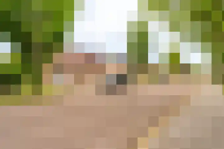 Veurste Rou 1 Blijham thumbnail 5
