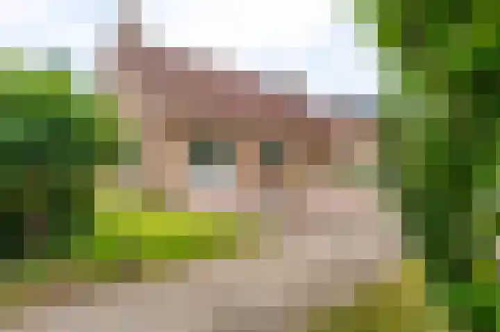 Veurste Rou 1 Blijham thumbnail 6