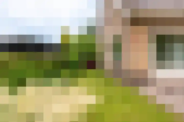 Veurste Rou 1 Blijham thumbnail 7