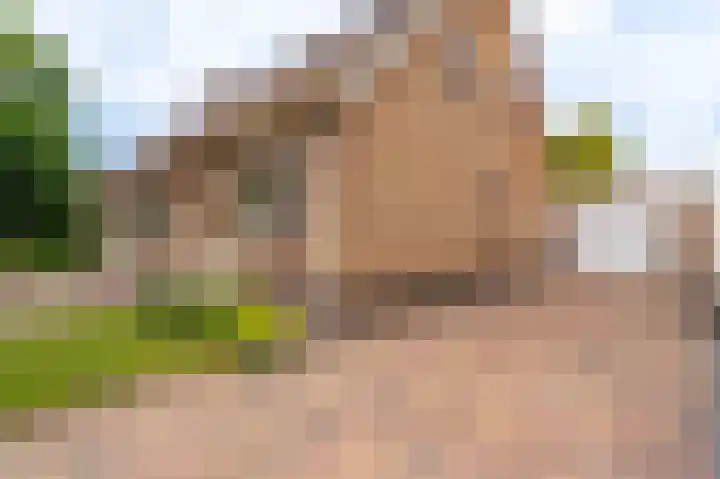 Veurste Rou 1 Blijham thumbnail 8