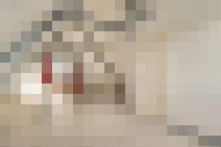 Veurtje 19 Neer thumbnail 15