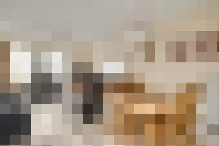 Veurtje 19 Neer thumbnail 26