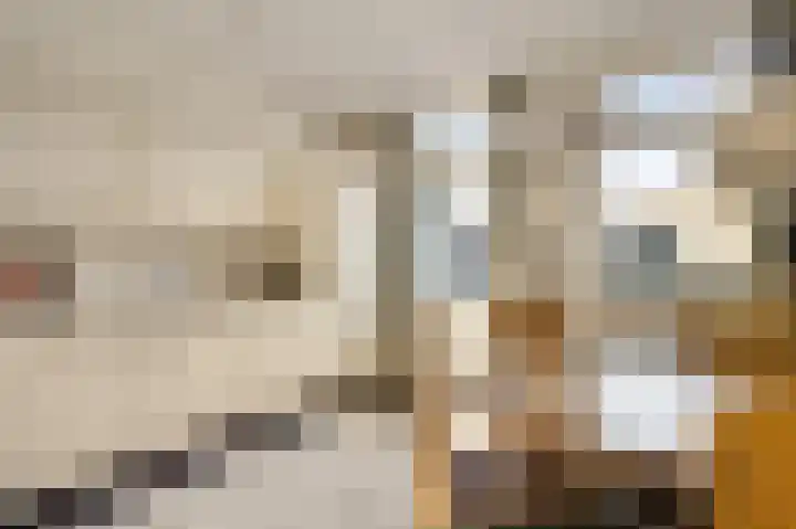Veurtje 19 Neer thumbnail 27