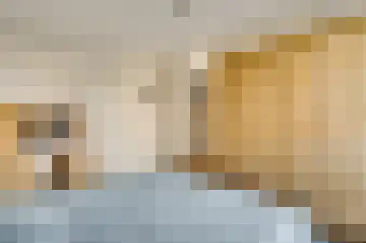 Veurtje 19 Neer thumbnail 30