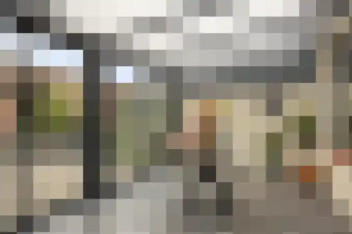 Vezelstraat 11 Reusel thumbnail 12