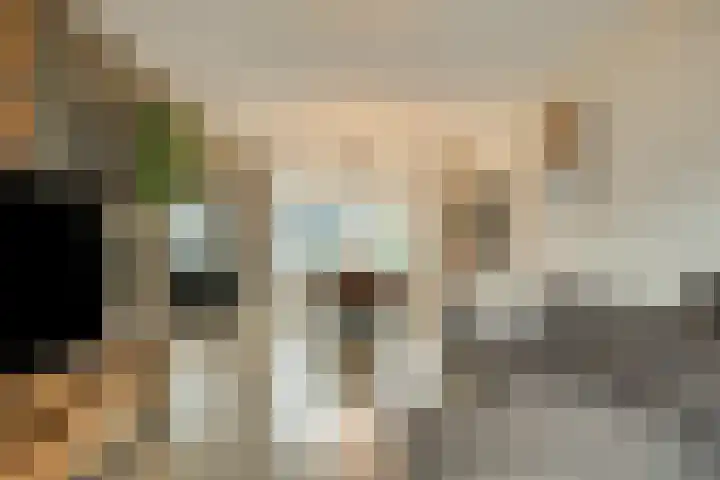Vezelstraat 11 Reusel thumbnail 5