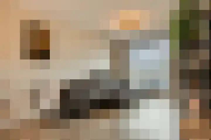 Vezelstraat 11 Reusel thumbnail 7