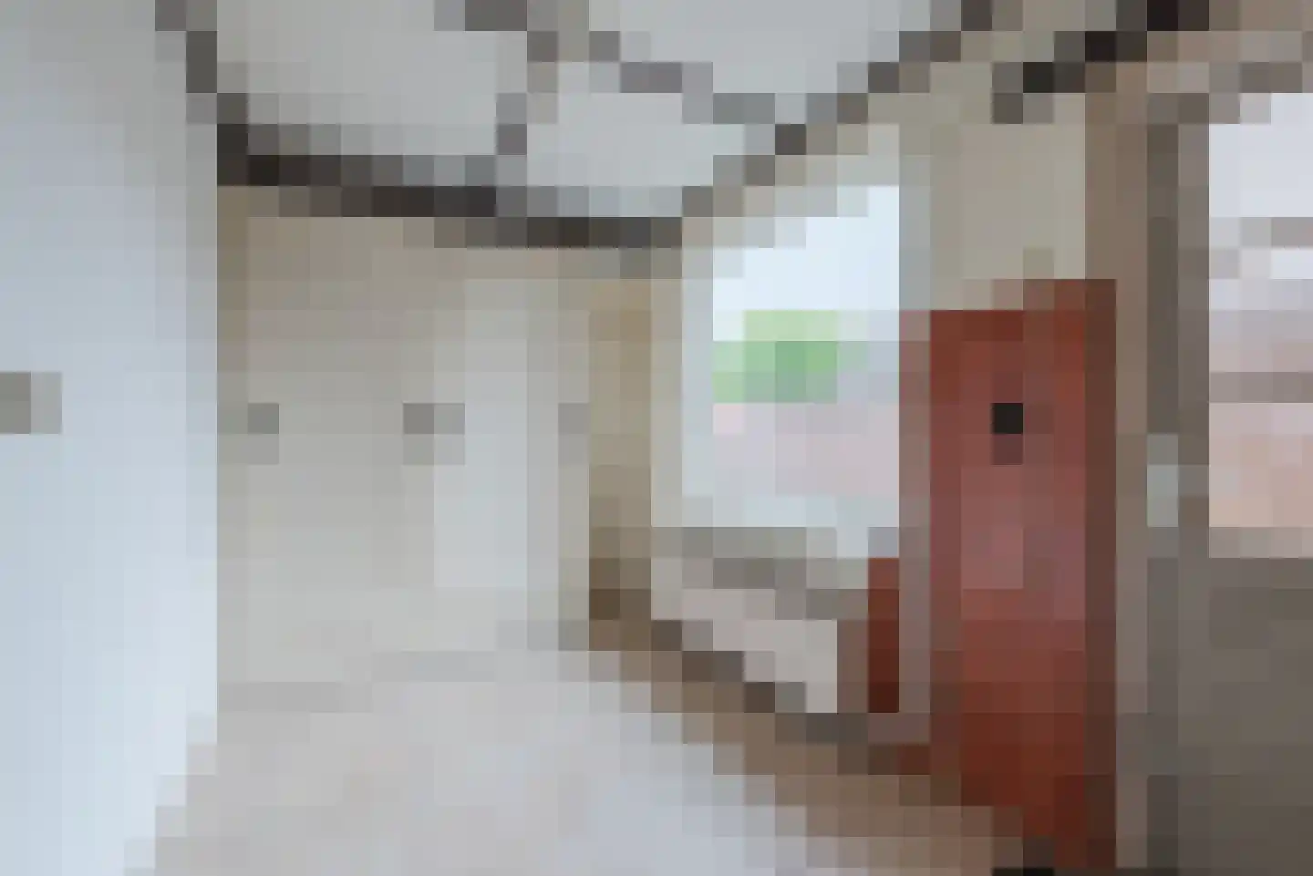 Vezelstraat 15 Reusel thumbnail 14