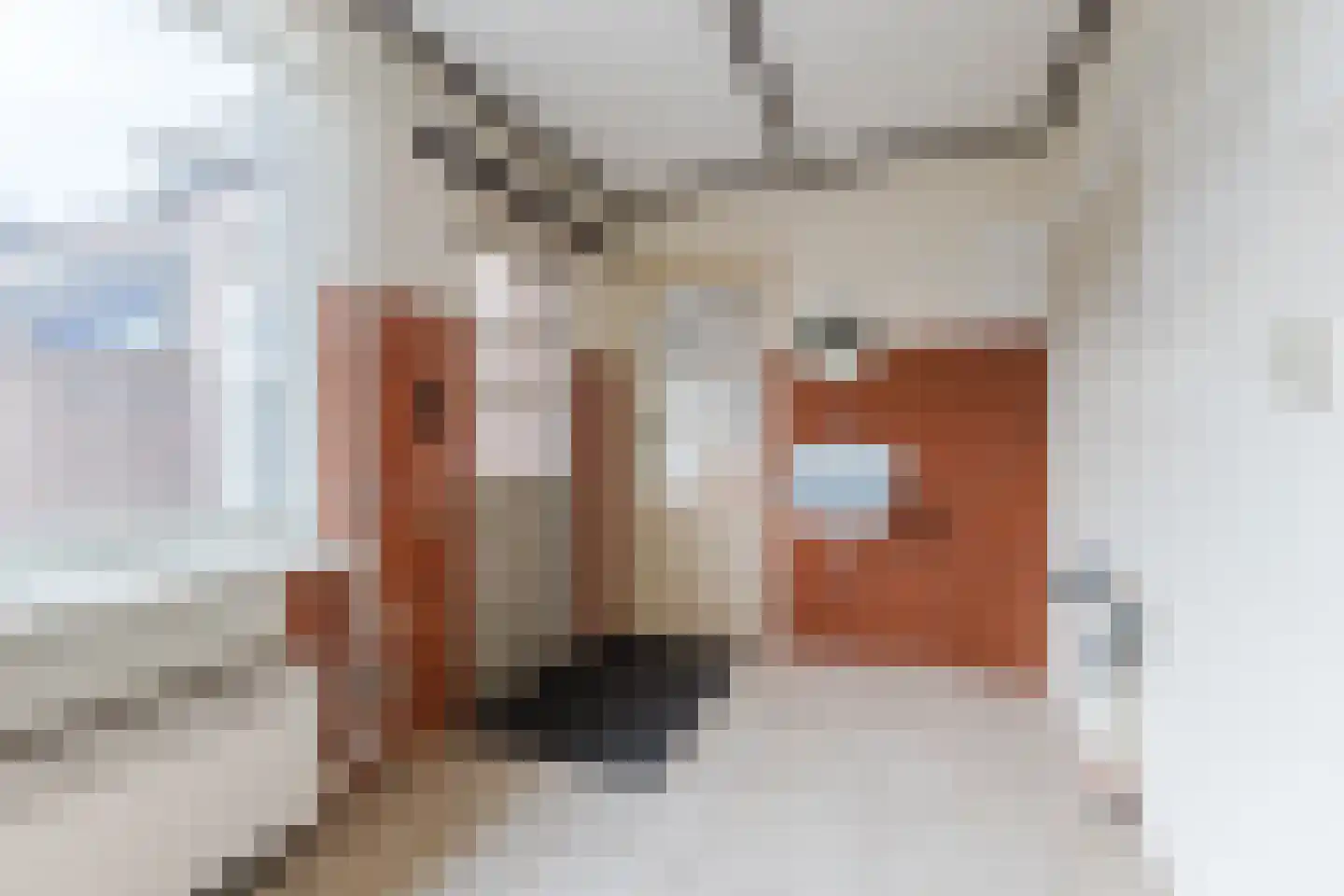 Vezelstraat 15 Reusel thumbnail 15
