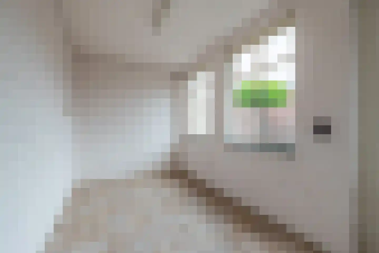 Vezelstraat 15 Reusel thumbnail 16