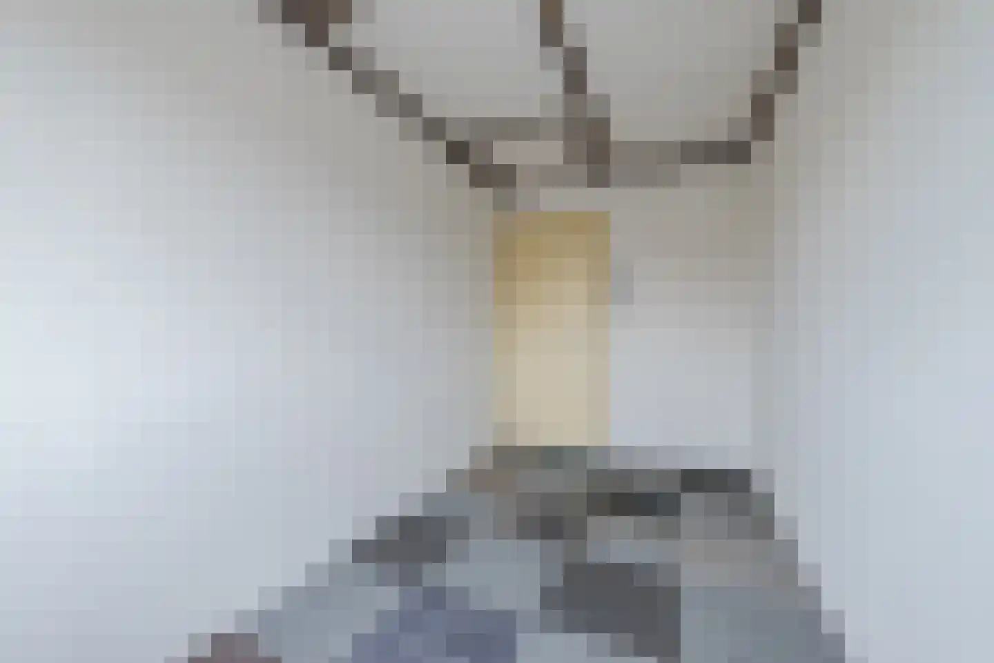 Vezelstraat 15 Reusel thumbnail 27